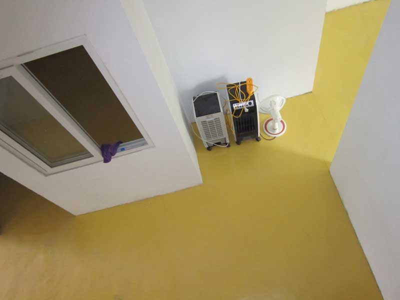 pvc免费P站视频的发展进程