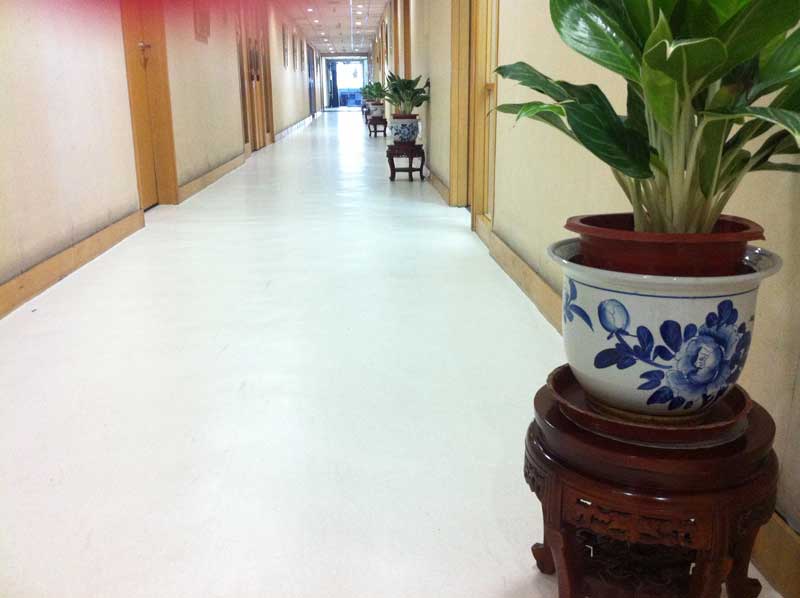 中国广告联合总公司办公室免费P站视频