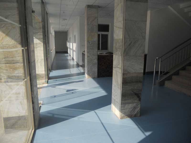 山东省济南市办公室免费P站视频 山东省济南市办公室免费P站视频