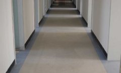 最高检办公室免费P站视频