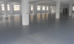 北京师范大学学校塑胶免费P站视频