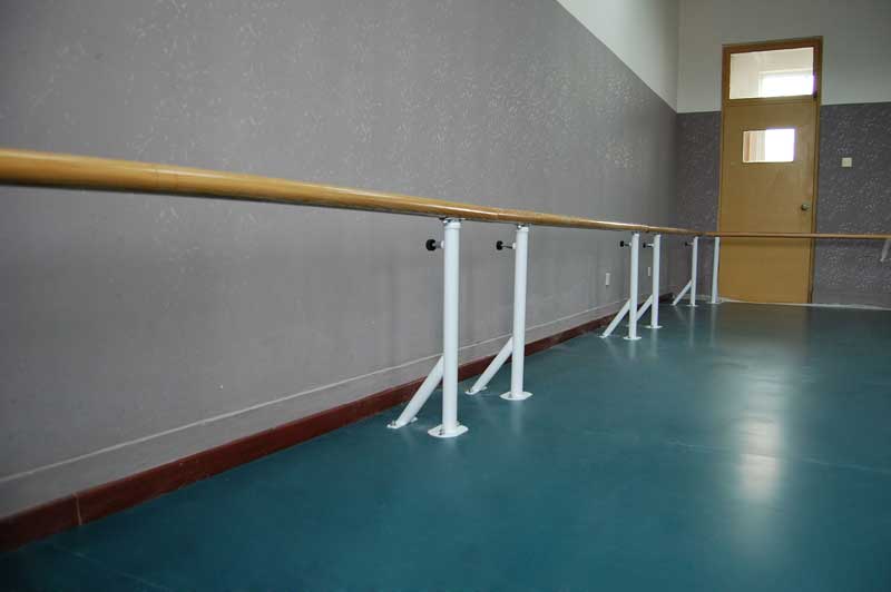 北京中央音乐学院附中舞蹈免费P站视频 北京中央音乐学院附中舞蹈免费P站视频