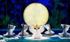 舞蹈免费P站视频安装_怎么铺