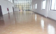 塑胶免费P站视频多少钱一平方米