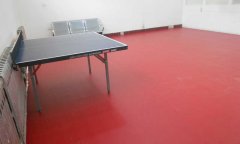 运动免费P站视频多少钱一平方米