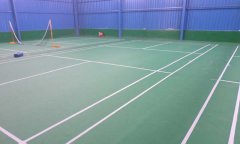 福建莆田市安仁明珠国际大酒店羽毛球pvc免费P站视频