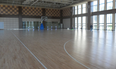 运动免费P站视频